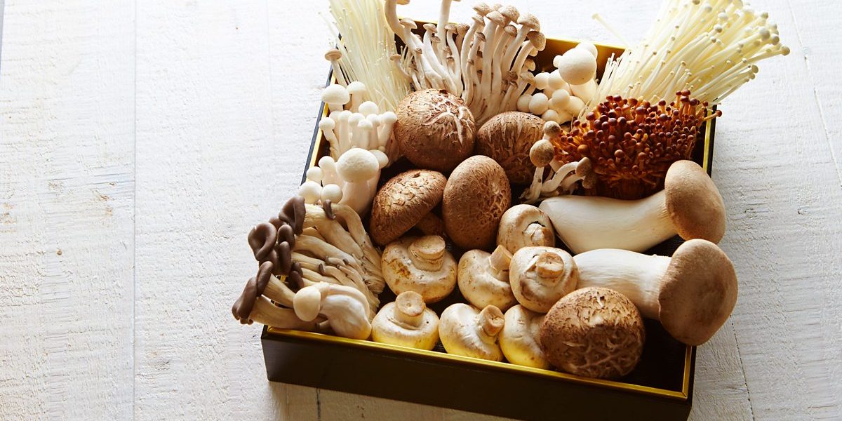 Why Mushrooms Are the New Superfood for Your Skin
