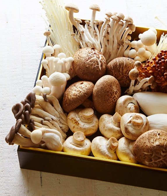 Why Mushrooms Are the New Superfood for Your Skin